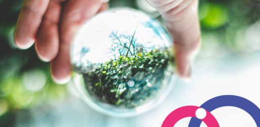 zero-waste-and-circular-economy