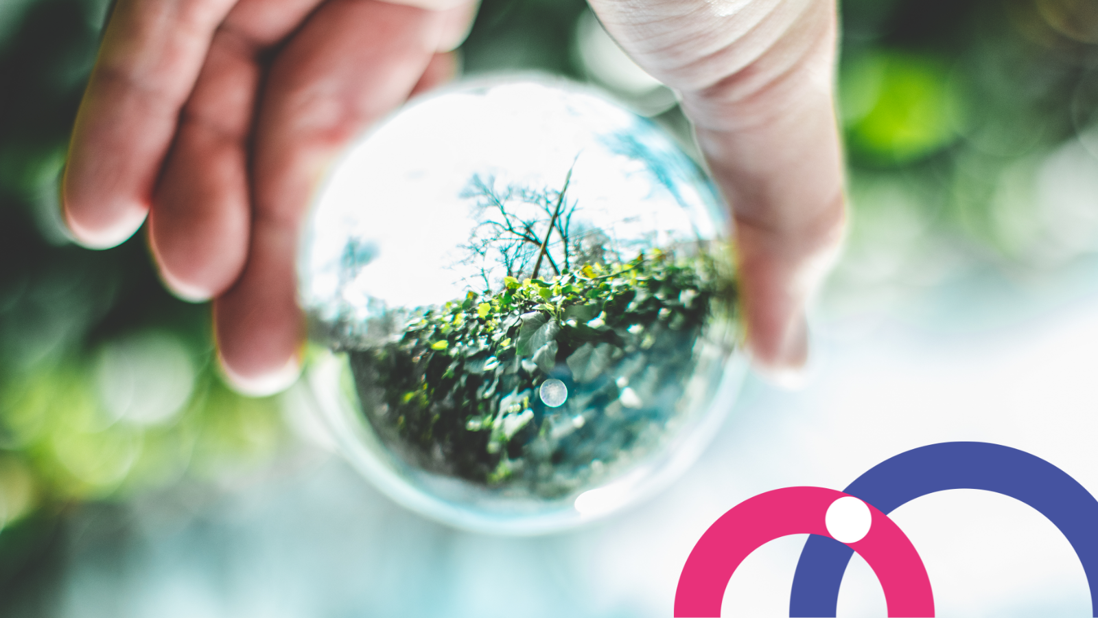 zero-waste-and-circular-economy